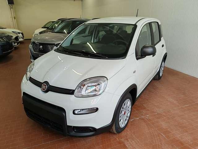 Fiat Panda 1.0 Hybrid 70cv Radio Bluetooth 36 Rate da 177,95