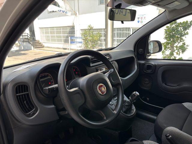 FIAT Panda 1.0 FireFly S&S Hybrid da ?119,00 mensili