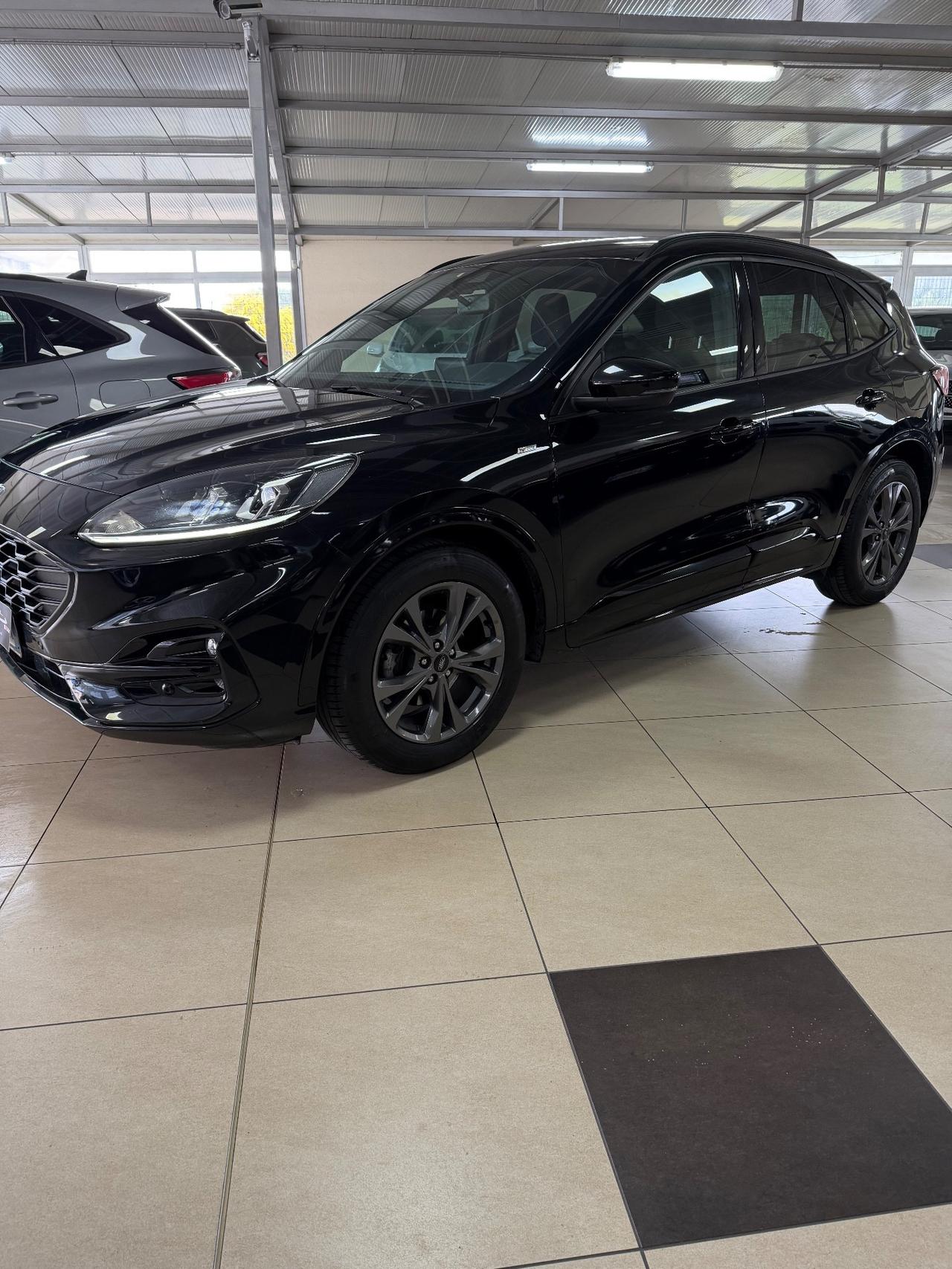 Ford Kuga 1.5 EcoBlue 120 CV 2WD ST-Line