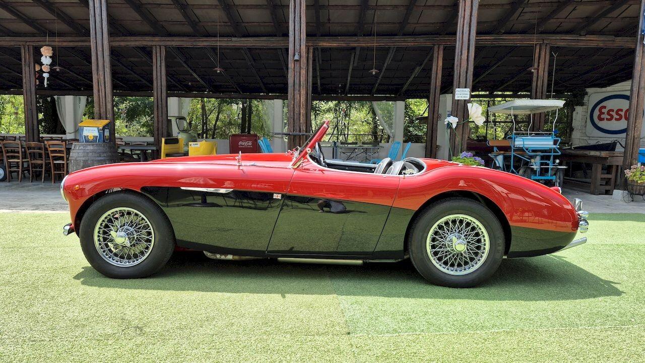Austin-Healey 100 BN1 – 1954
