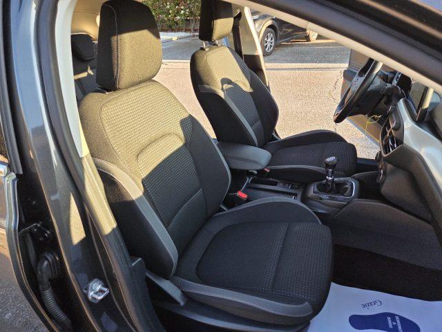 FORD Focus 1.5 EcoBlue 120 CV 5p. Business