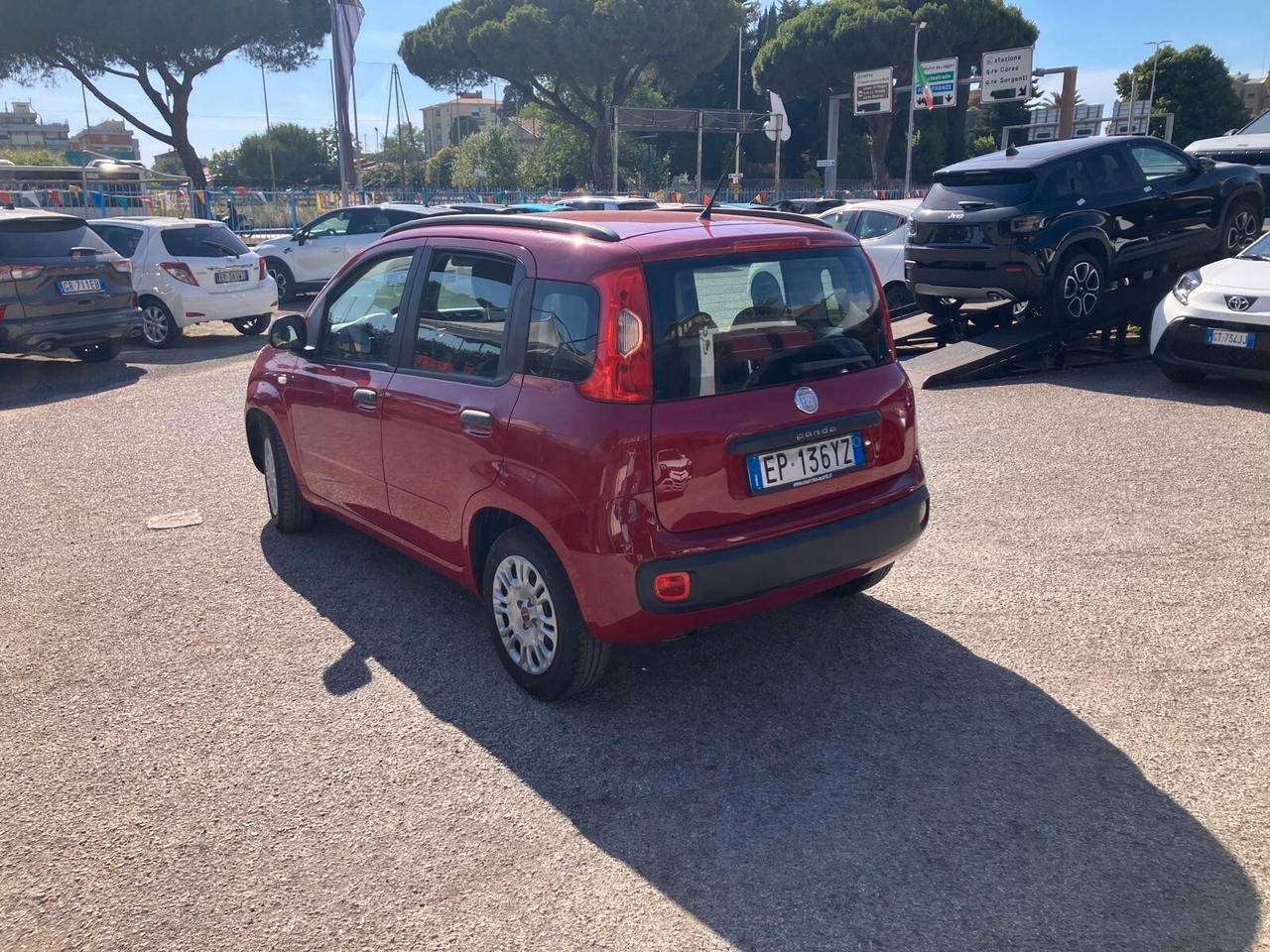 FIAT PANDA 1.2 69cv 5 Porte Easy