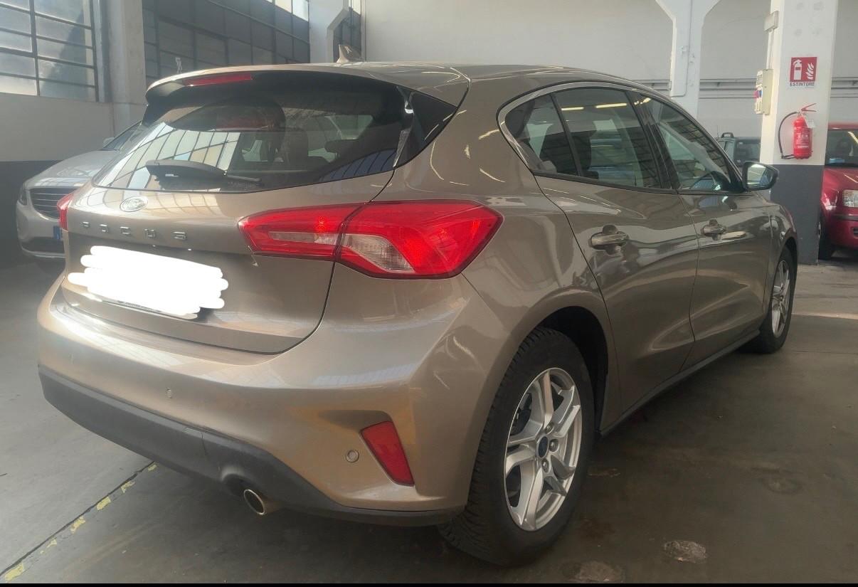 Ford Focus 1.5 EcoBlue 120 CV automatico 5p. Business Co-Pilot