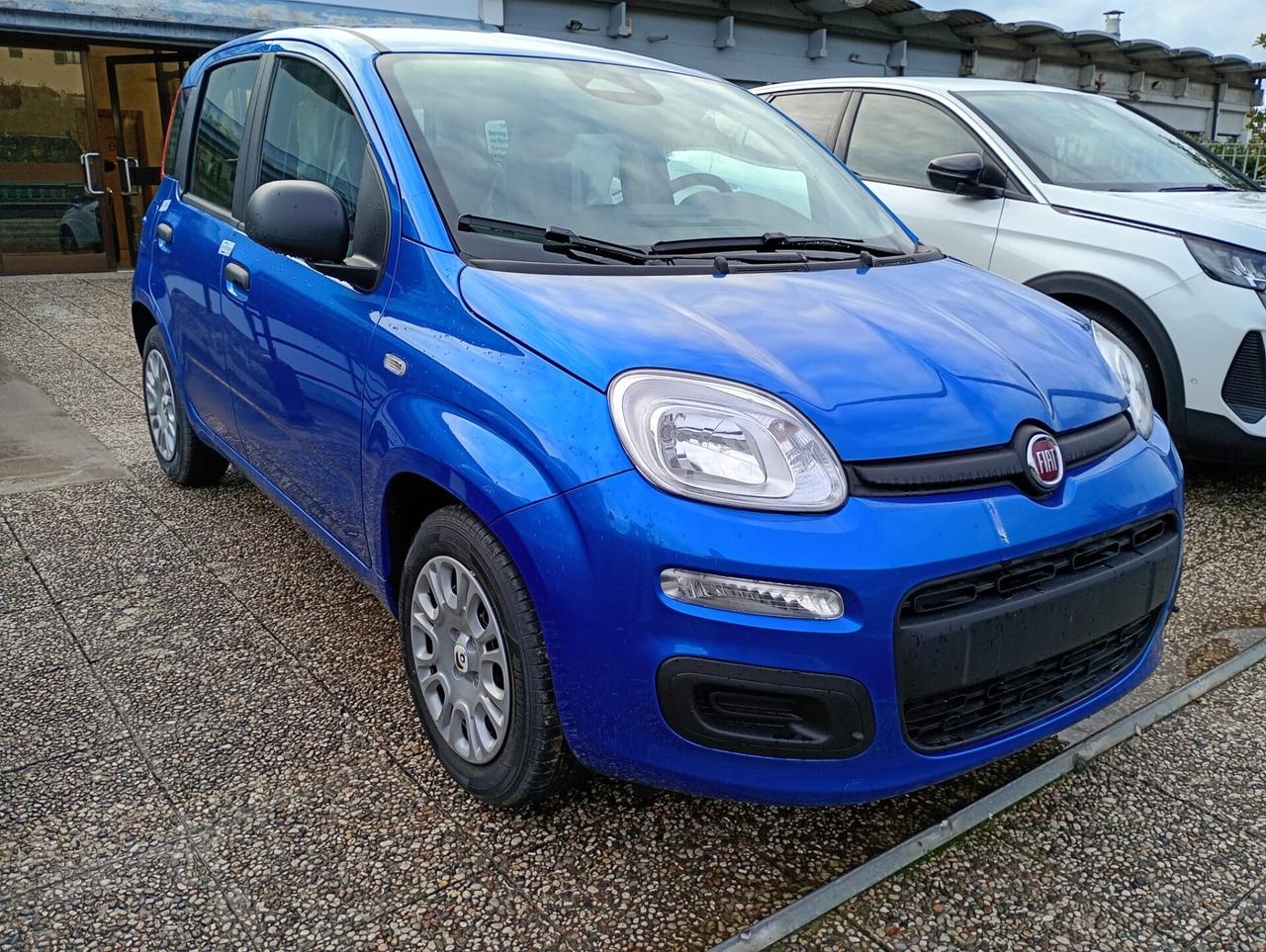 Fiat Panda Pandina 1.0 FireFly 65 CV Hybrid Icon nuova