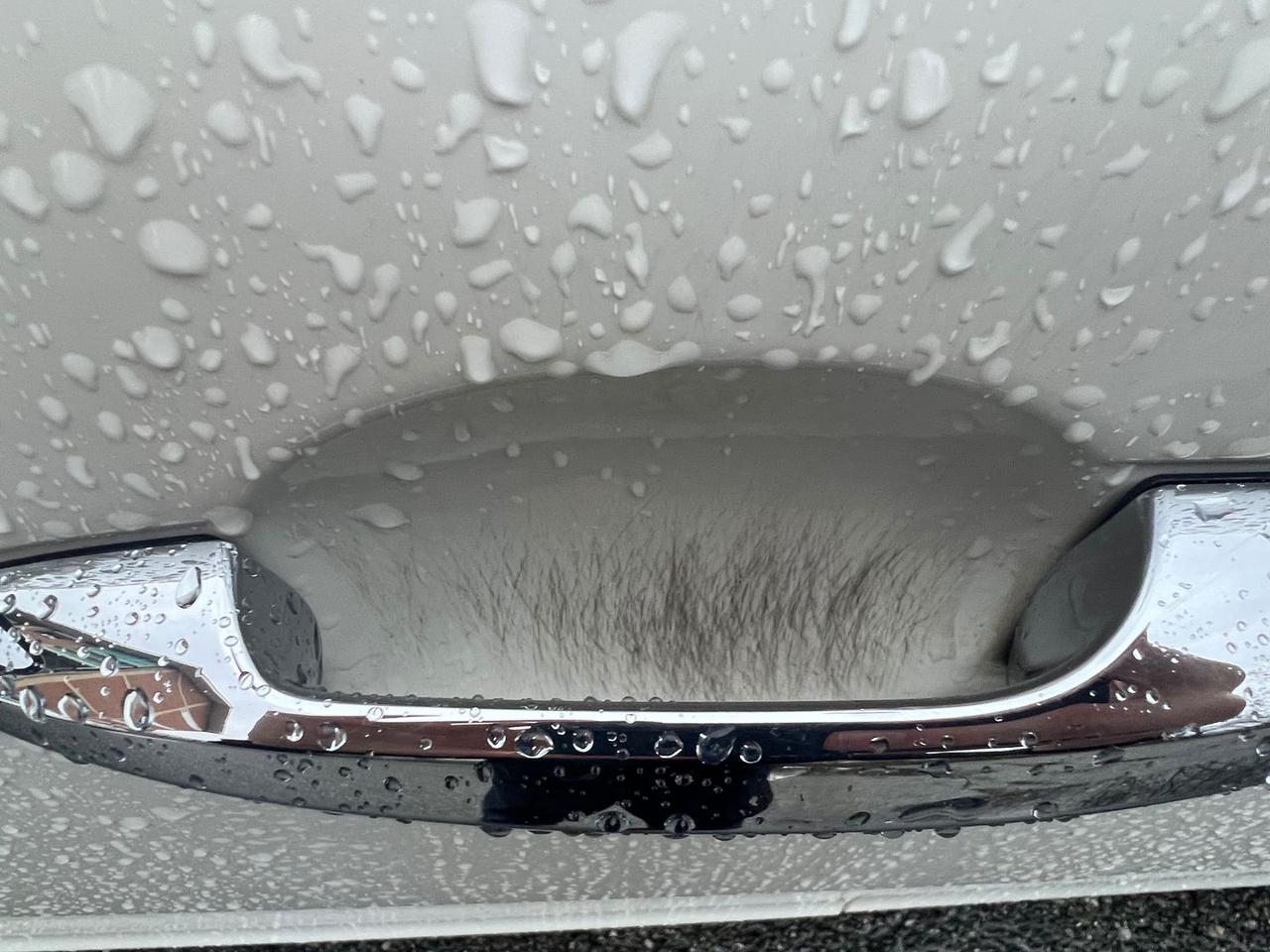 Lancia Ypsilon Silver 1.2 #8395