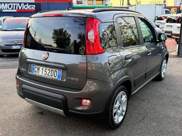 Fiat Panda Panda 1.0 Hybrid CITY LIFE PRONTA CONSEGNA 5 POSTI