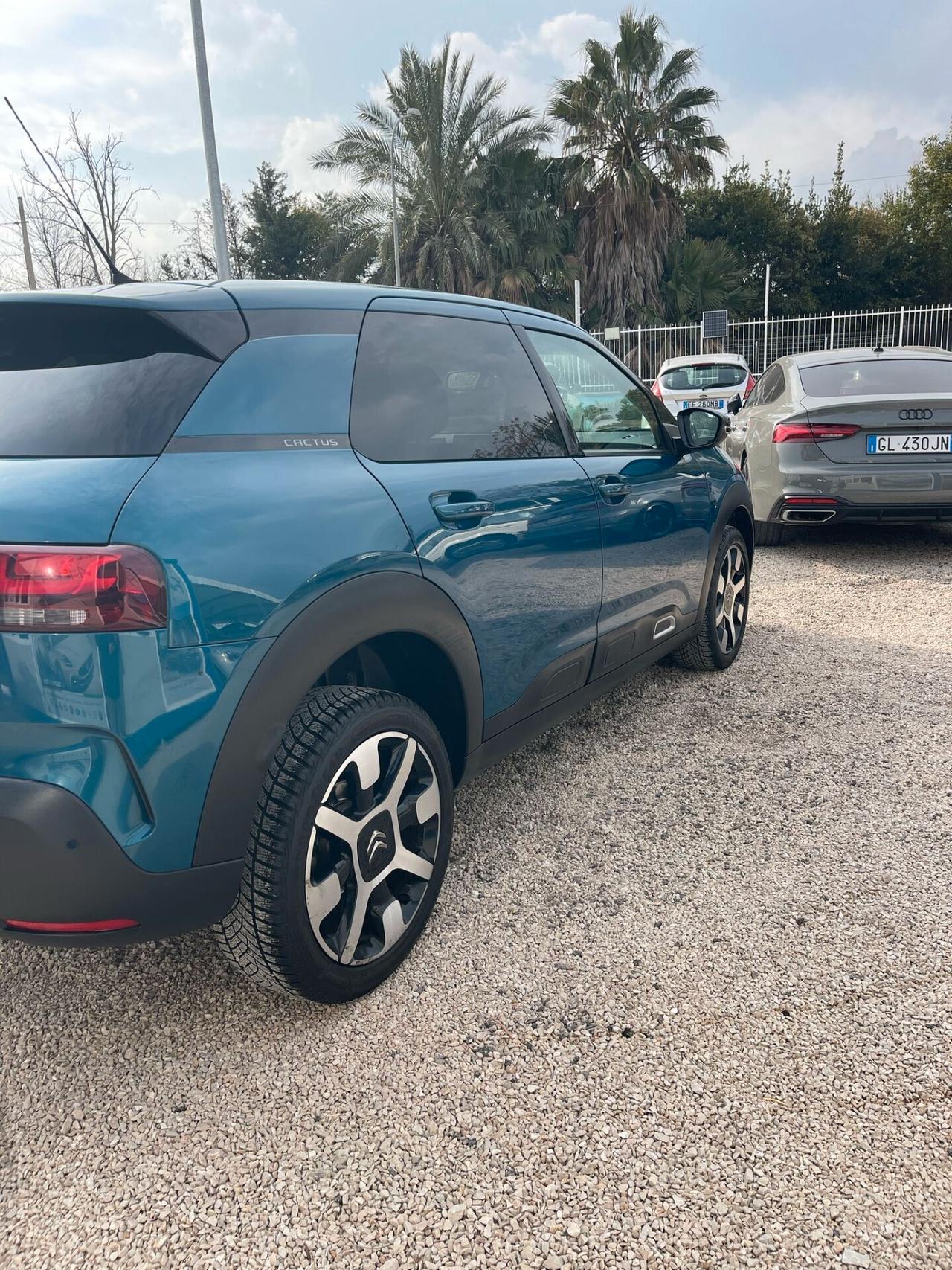 Citroen C4 Cactus BlueHDi 100 S&S Shine