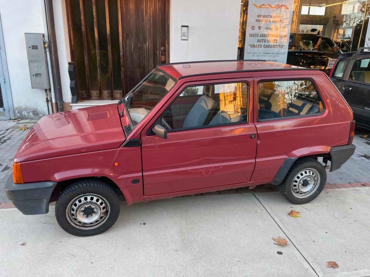 Fiat Panda 1100 i.e. cat Young