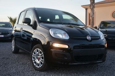 Fiat panda 1.2 benz. Anno 2021