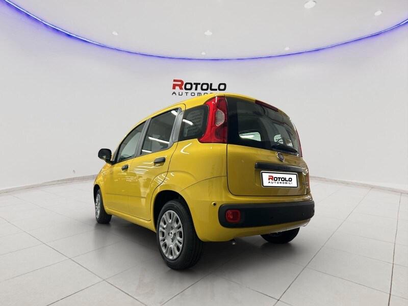 FIAT Panda 3ª serie Panda 1.0 FireFly S&S Hybr...