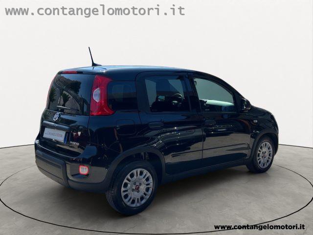 FIAT Panda 1.0 FireFly S&S Hybrid unico proprietario