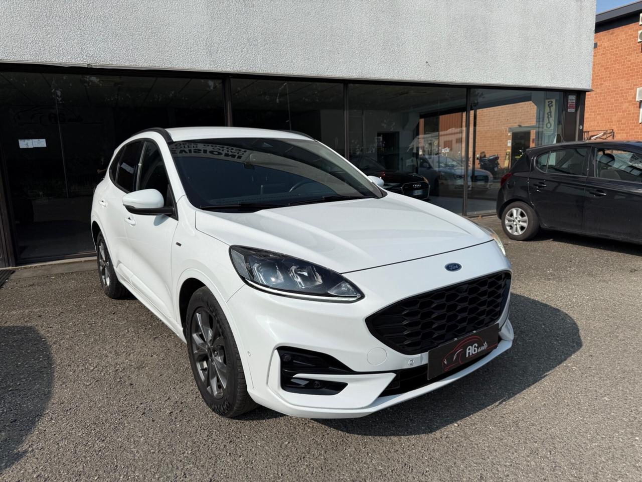 Ford Kuga 2.0 EcoBlue Hybrid 150 CV 2WD ST-Line