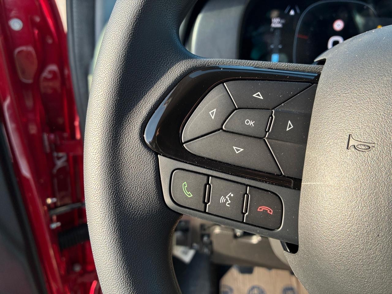 Fiat Panda 1.0 FireFly S&S Hybrid Icon CELL VENDITE 3491558563 - 3478673115