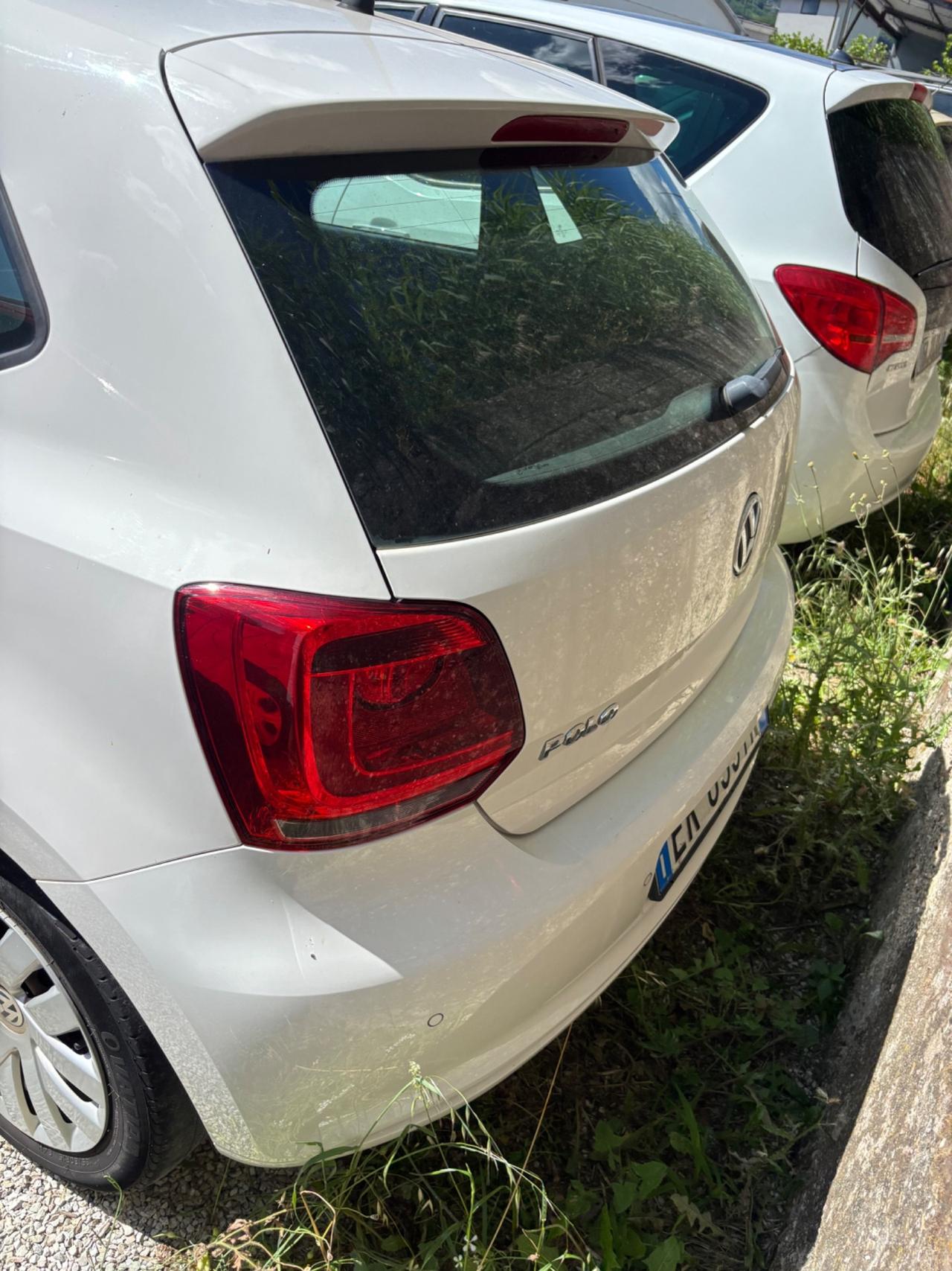 Volkswagen Polo 1.2 TDI DPF 5 p. BlueMotion neo patentato