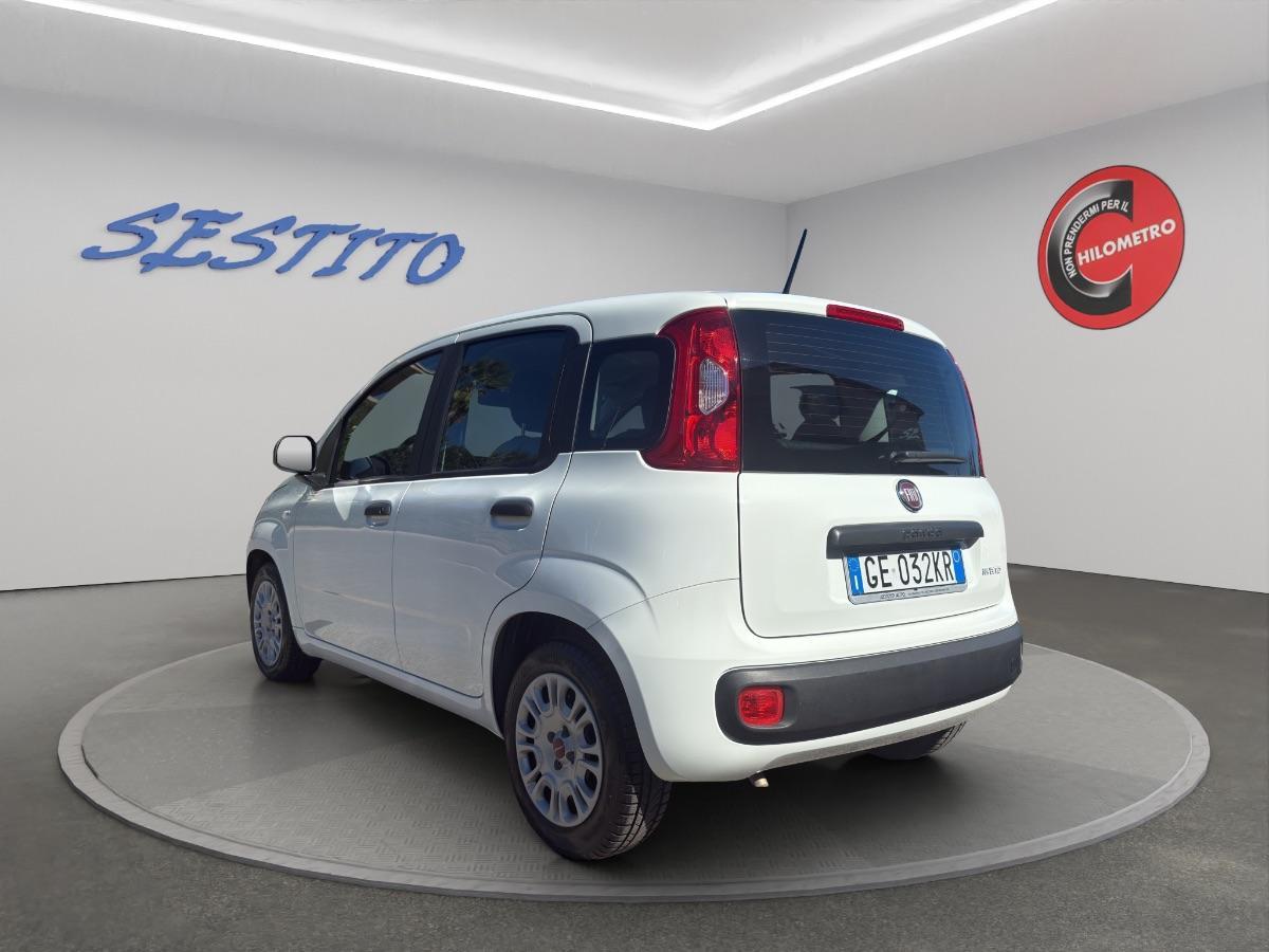 FIAT - Panda 1.0 hybrid s&s 70cv 5p.ti