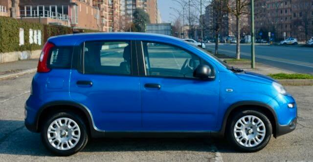 Fiat Panda 1.0 FireFly S&S Hybrid Pandina
