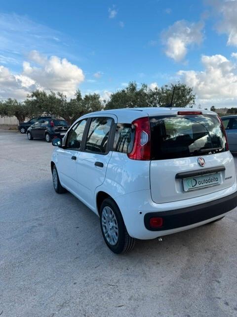 Fiat Panda Pandina 1.0 FireFly 65 CV Hybrid Icon