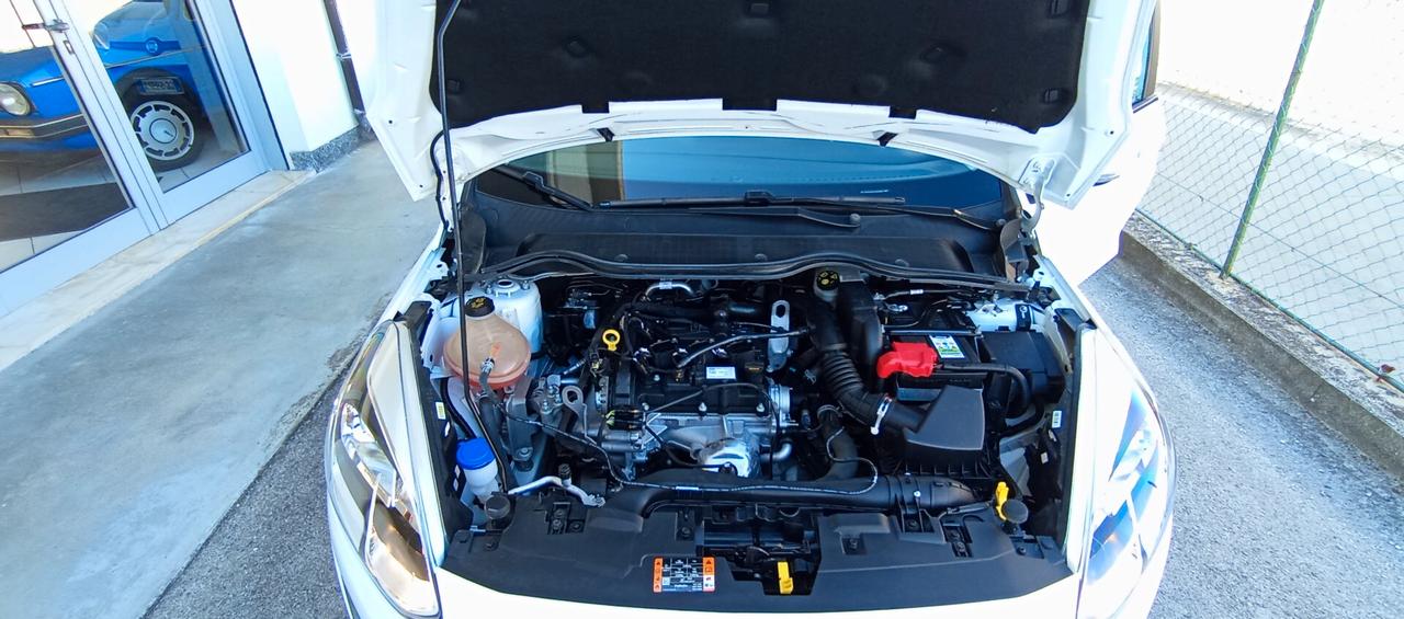 Ford Fiesta 1.1i 75 CV Business-Garanzia