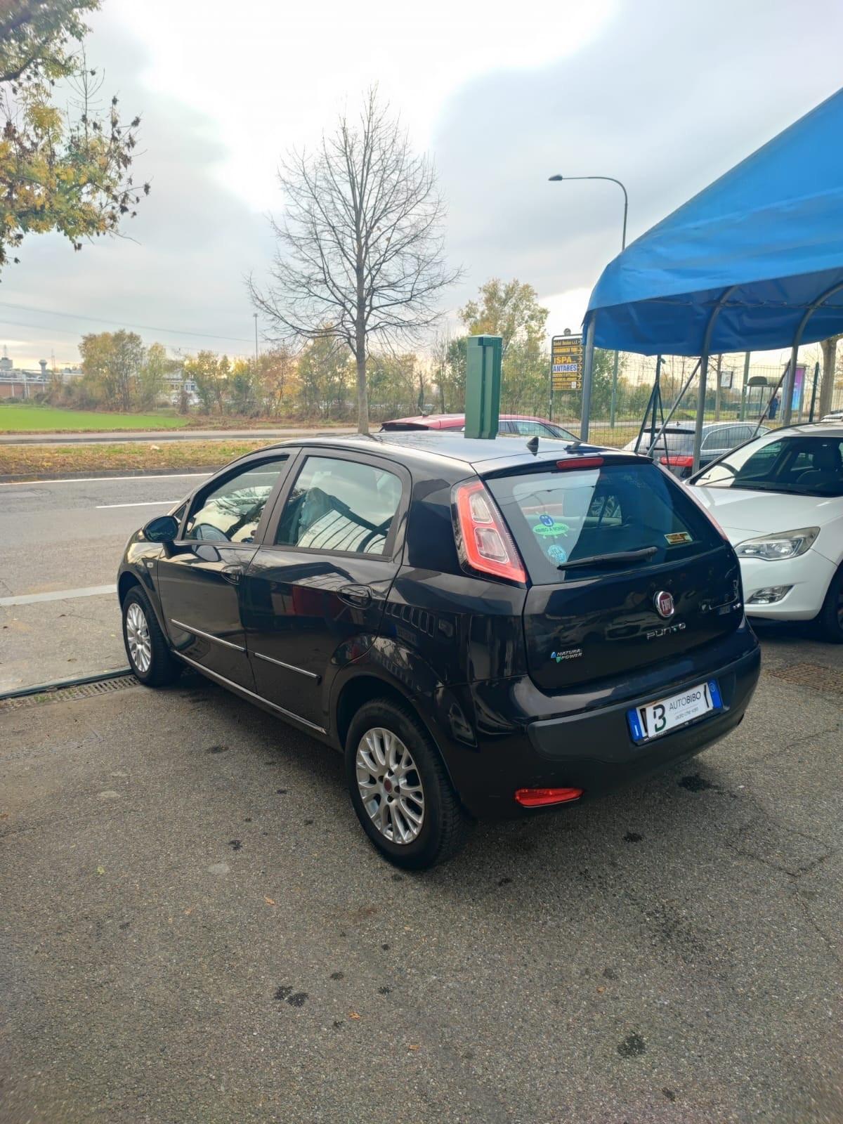 Fiat Punto Evo 1.4 5 porte Active Natural Power