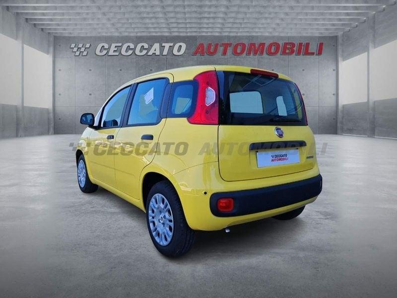 FIAT Panda Panda 1.0 firefly hybrid s&s 70cv