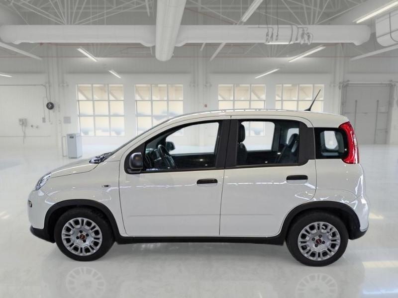 FIAT PANDA 1.0 FireFly 70cv S/S Hybrid