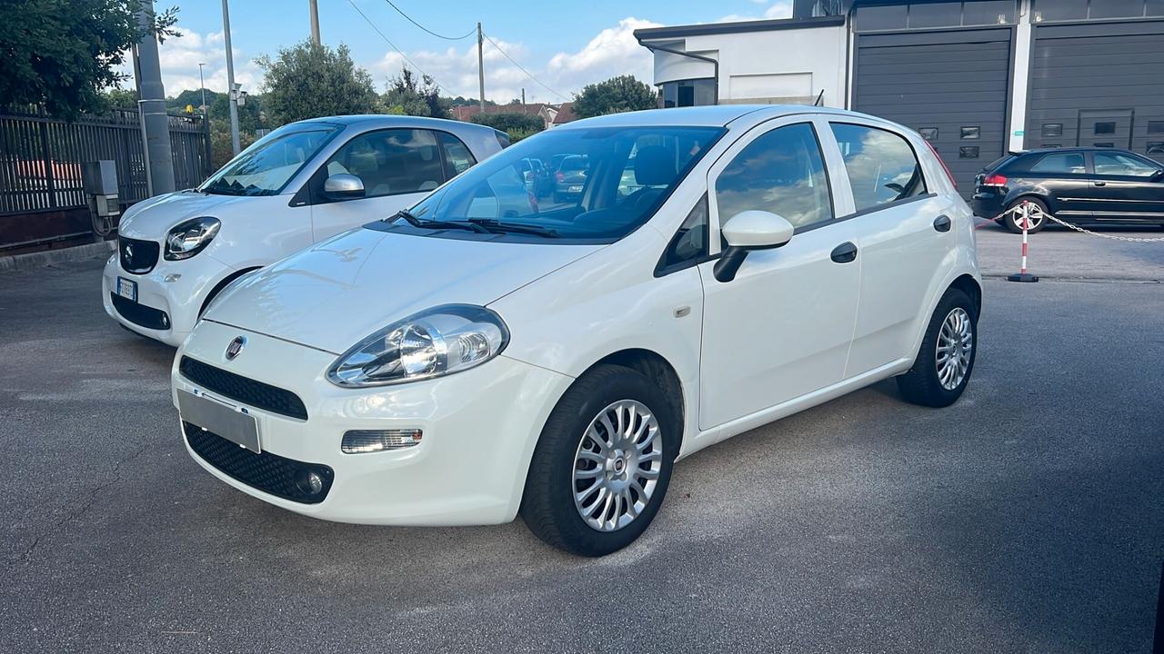 Fiat Punto 1.2 8V 5 porte Street NEOPATENTATI
