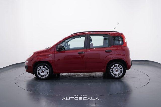 FIAT Panda 1.2 69cv Easy