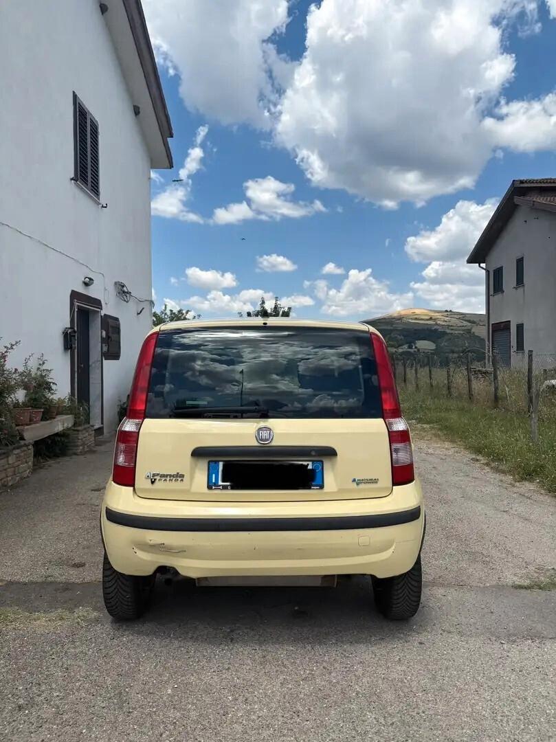Fiat Panda 1.2 Dynamic Natural Power Mamy