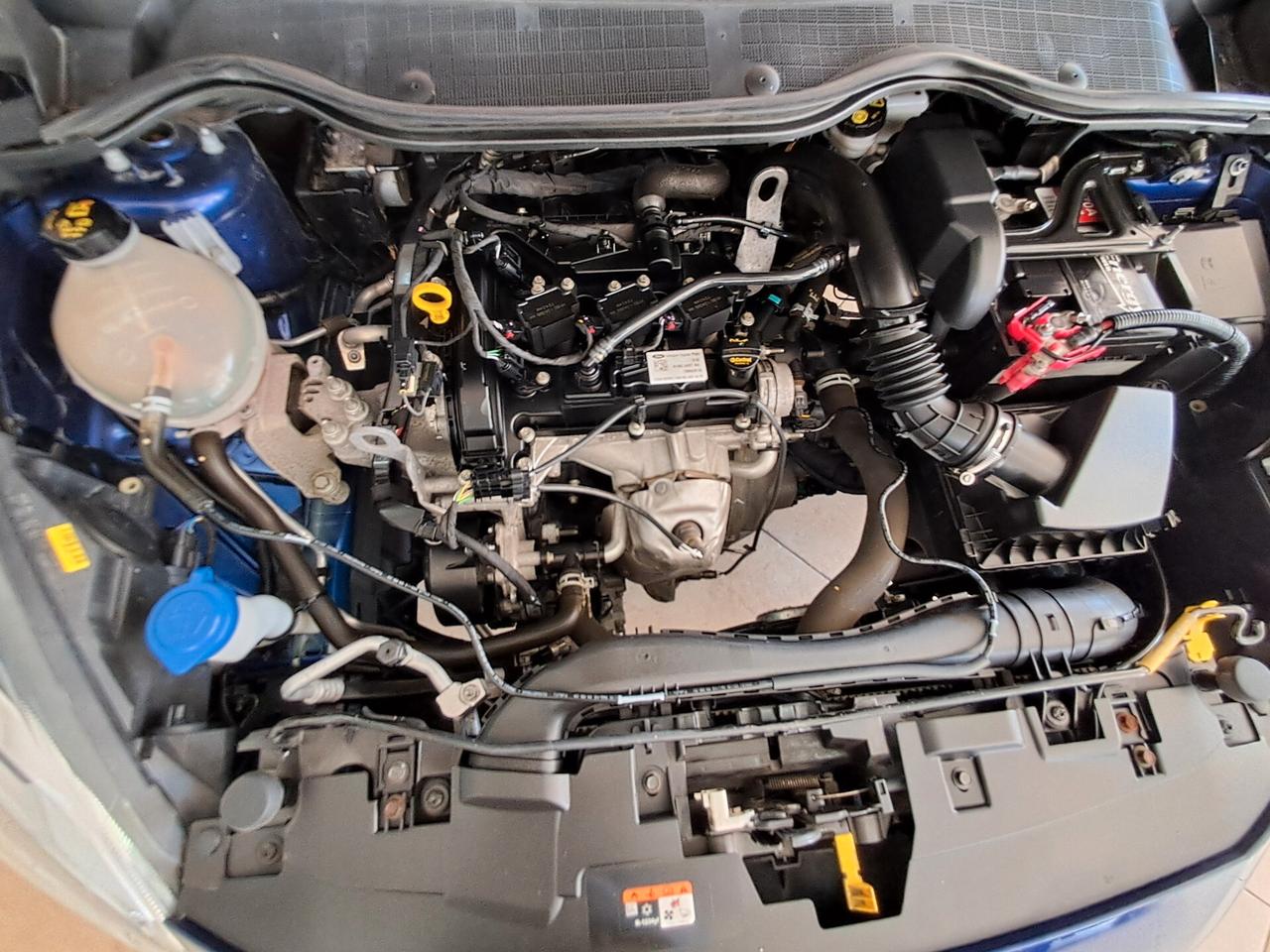 Ford Fiesta 1.1 85 CV 5 porte Plus