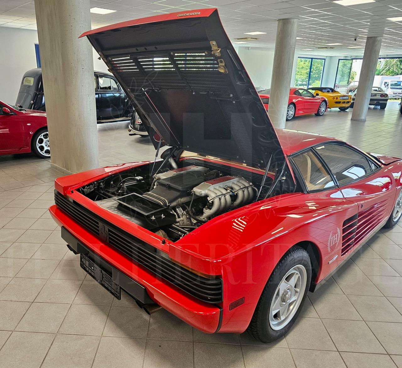 Ferrari Testarossa Monospecchio Sperimentale/Test