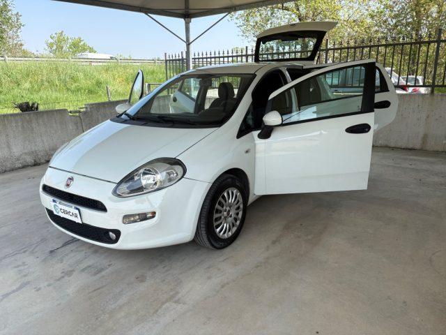 FIAT Punto 1.2 8V 5 porte EURO 6 OK NEOPATENTATI