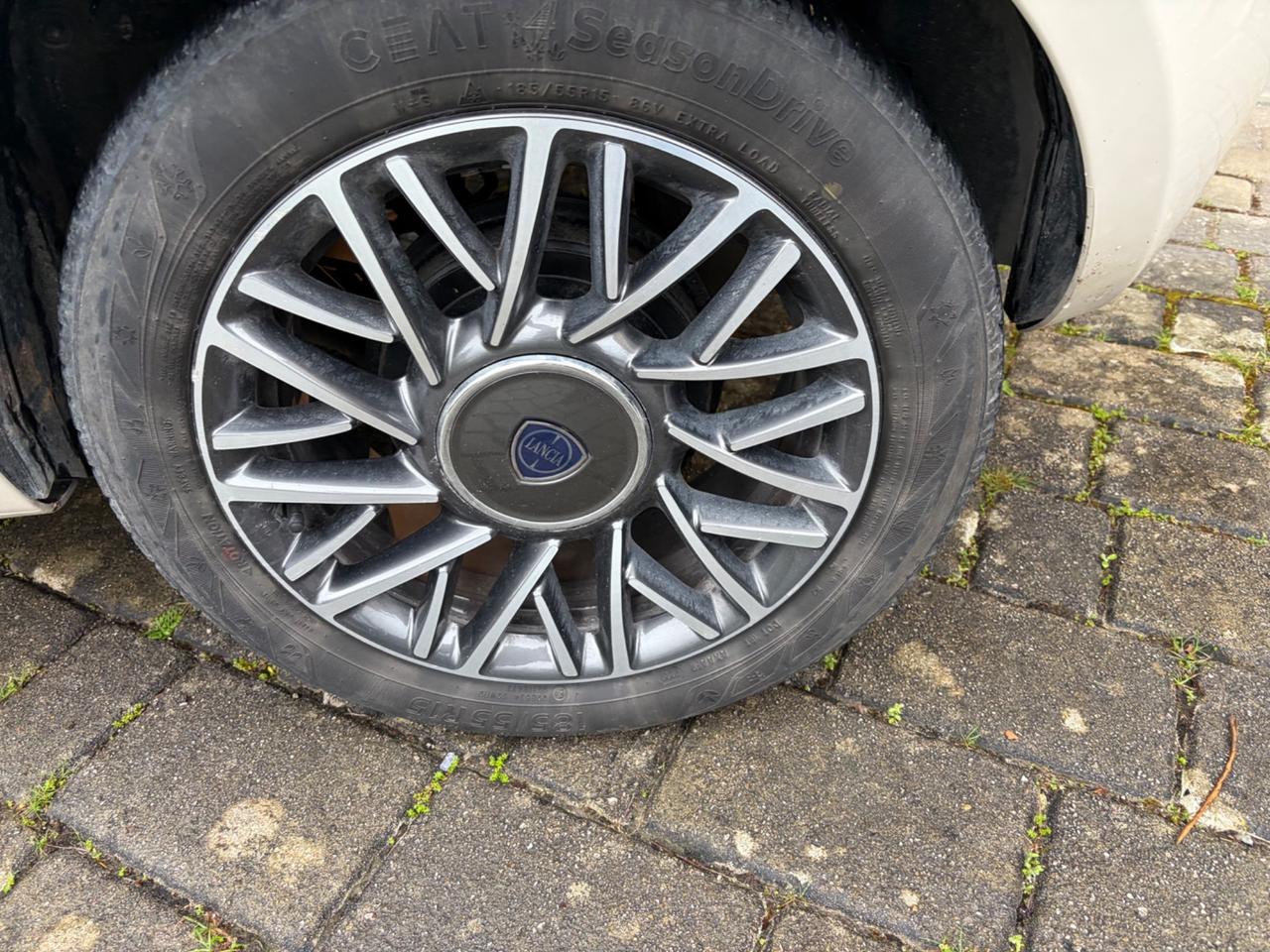 Lancia Ypsilon 1.3 MJT 16V 95 CV 5 porte S&S Platinum
