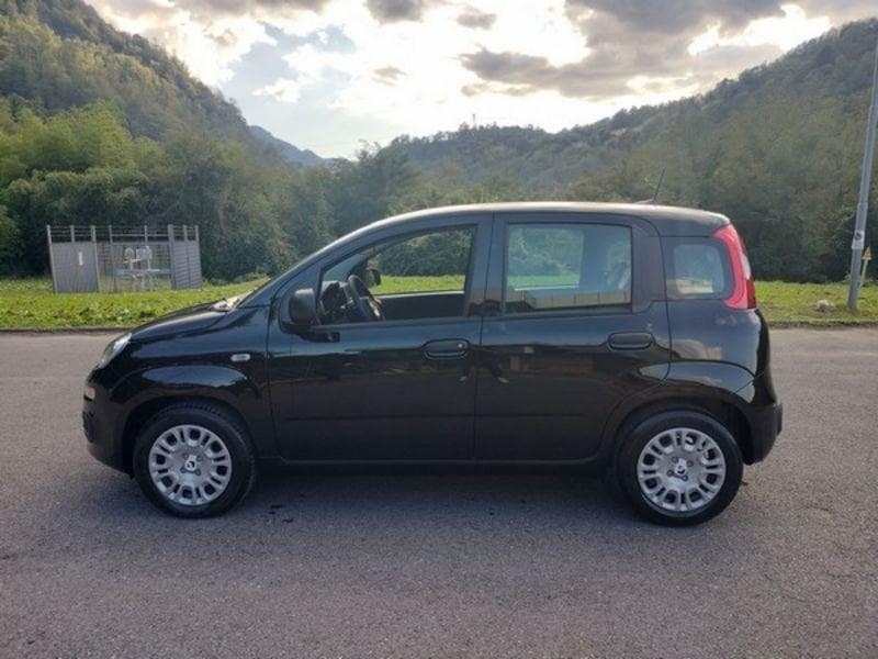 FIAT Panda Panda 1.0 FireFly S&S Hybrid, Sensori di parcheggio, 5 posti e stereo Bluetooth. GPL!!