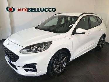 FORD Kuga 1.5 TDCI 120 CV S&S ST-Line
