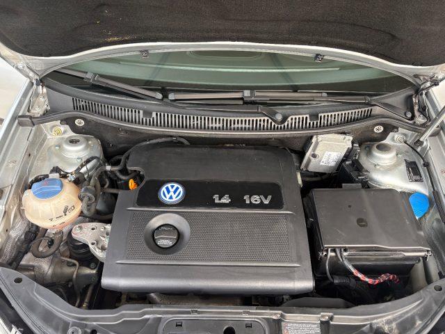 VOLKSWAGEN Polo 1.4 16V 5p. Comfortline PRONTA CONSEGNA OK NEOP