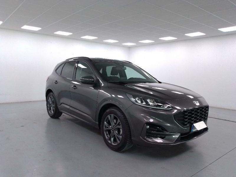 Ford Kuga 1.5 ecoblue ST-Line 2wd 120cv auto