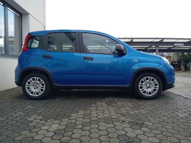 FIAT Panda 1.0 MILD HYBRID MANUALE PANDINA OK NEOPATENTATO
