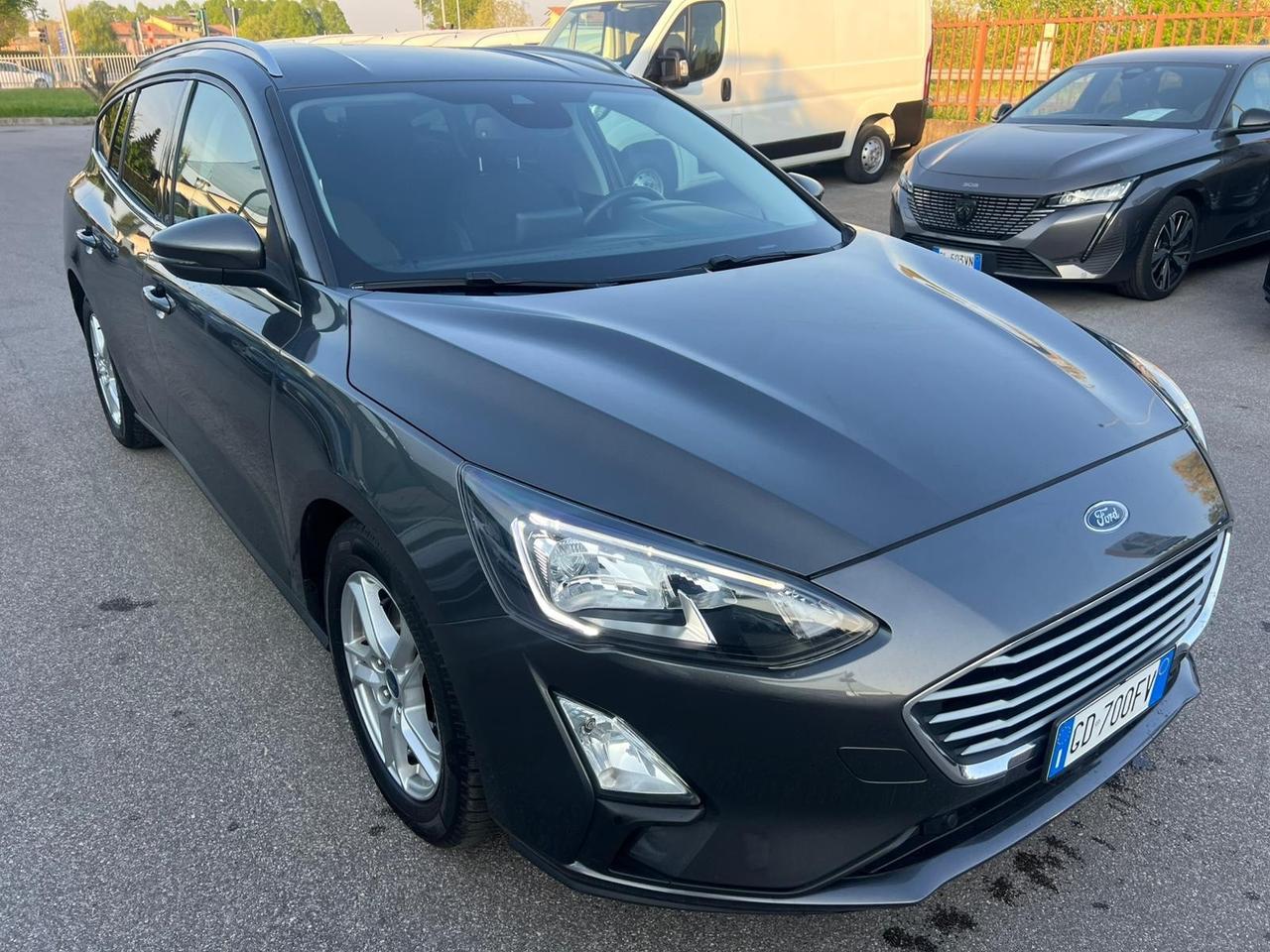 Ford Focus 1.5 EcoBlue 120 CV automatico SW Business Co-Pilot