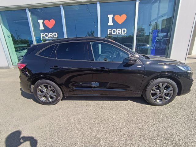FORD Kuga 1.5 EcoBoost 150 CV 2WD ST-Line