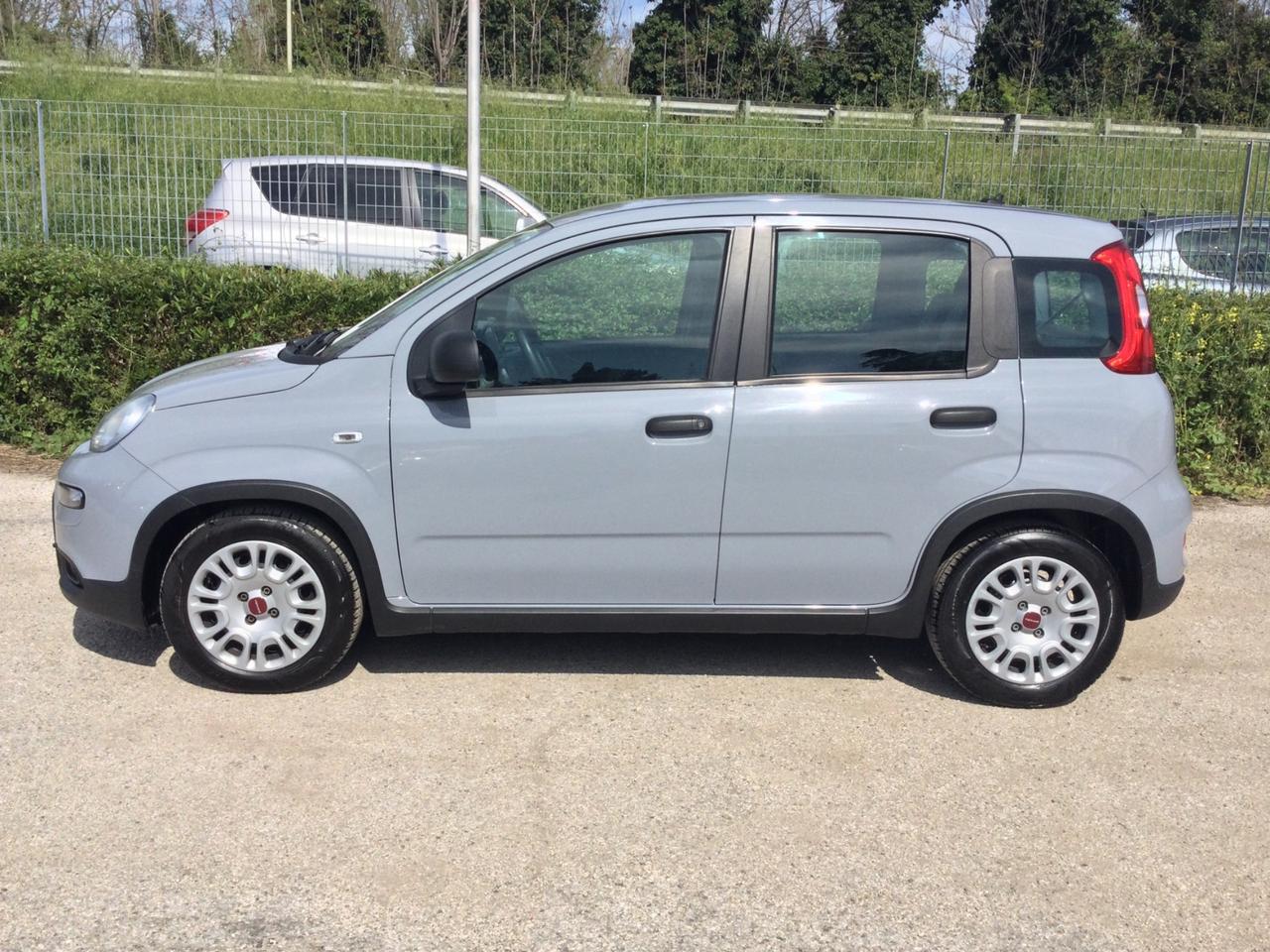 Fiat Panda 70Cv Hybrid City Life 5 posti