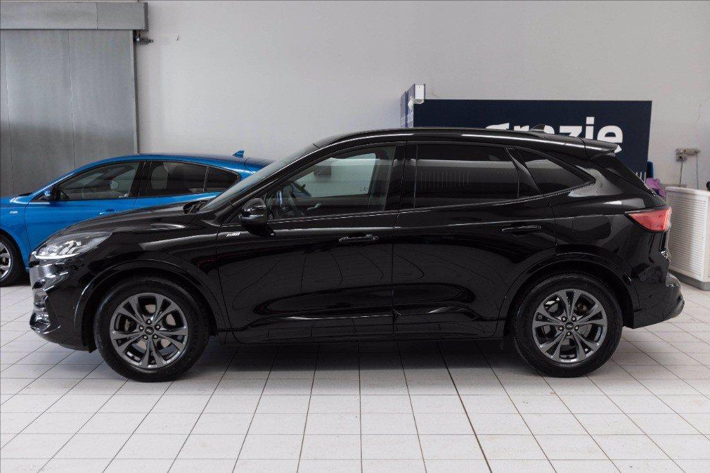FORD Kuga 2.0 ecoblue ST-Line 2wd 120cv auto del 2023