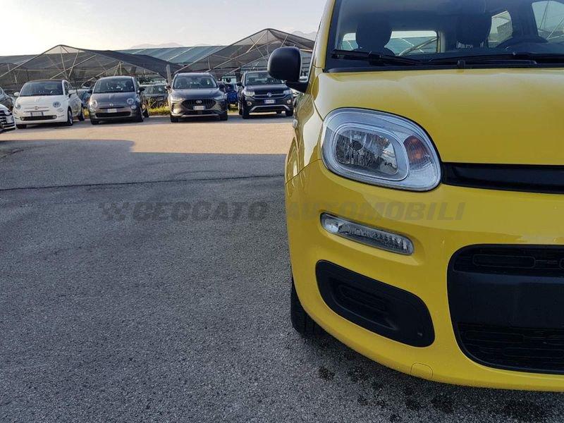 FIAT Panda Panda 1.0 70cv Hybrid Icon