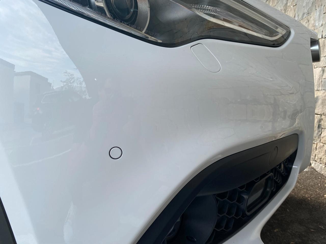 Alfa Romeo Stelvio 2.2 Tdi 190 CV AT8 Q4 - PERFETTA !!!