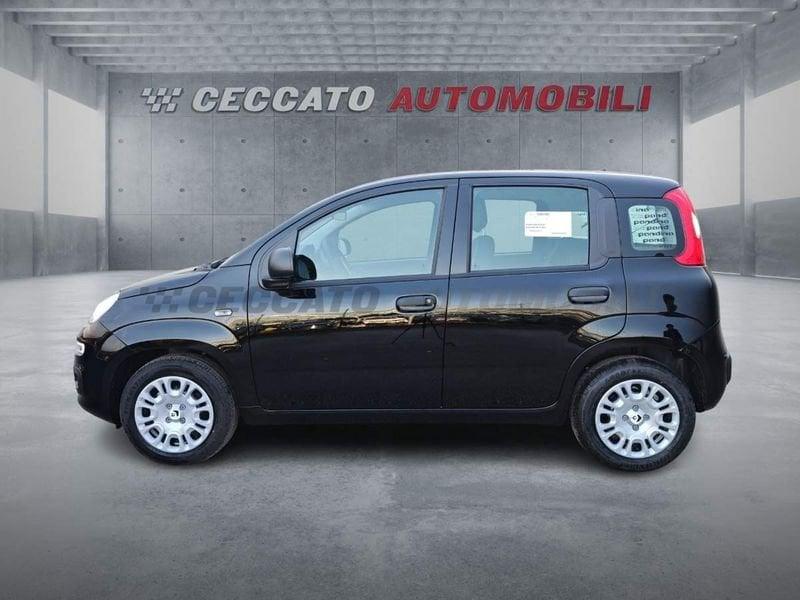 FIAT Pandina Pandina 1.0 65cv Hybrid Icon