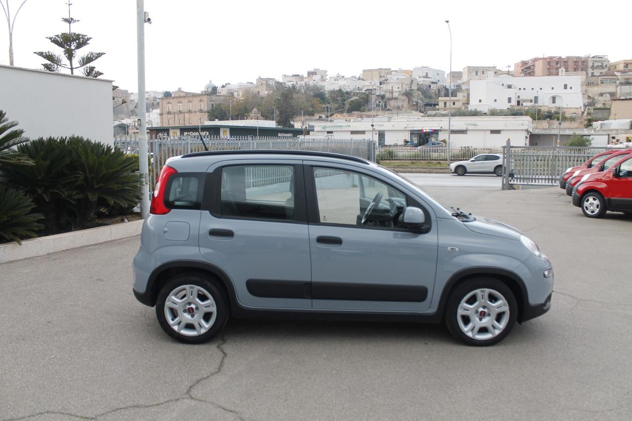 Fiat Panda 1.0 FireFly S&S Hybrid