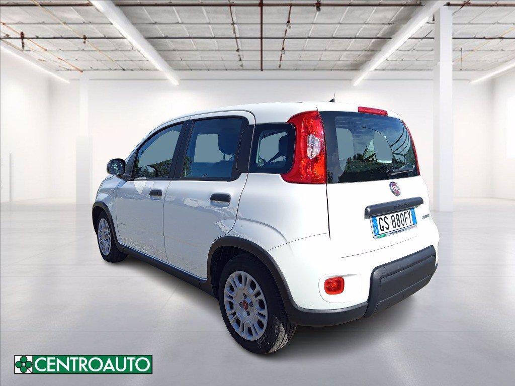 FIAT Panda 1.0 firefly hybrid s&s 70cv del 2024