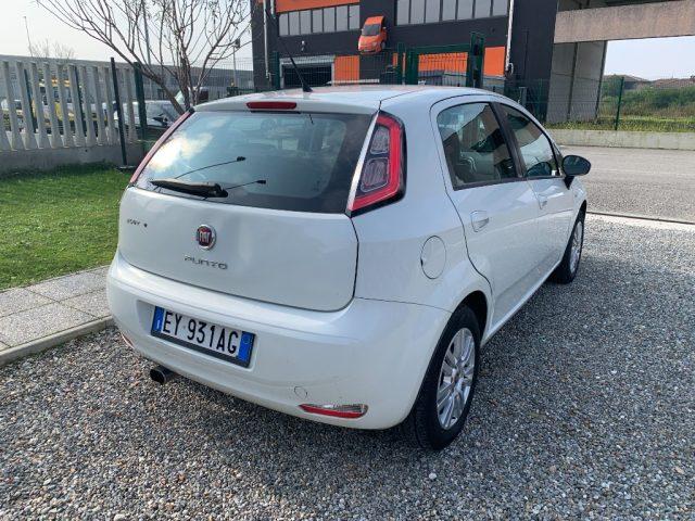 FIAT Punto 1.2 8V 5 porte Street