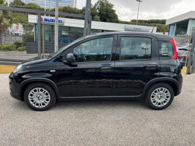 Fiat Panda 1.0 70cv Hybrid Pandino ADAS Km 0