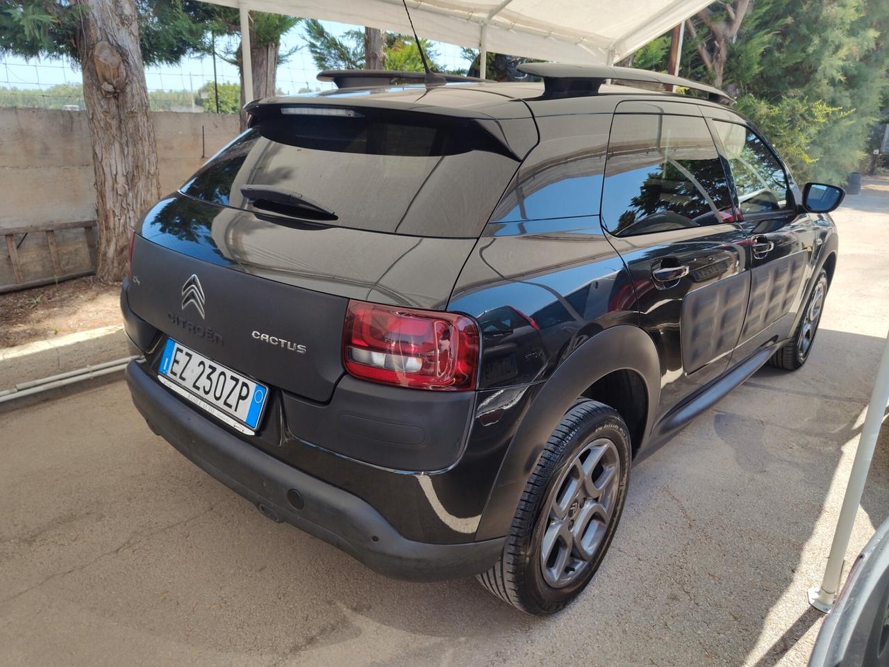 Citroen C4 Cactus 1.6 BlueHDi 100cv S&S Shine