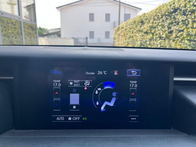 LEXUS RC 300h RC Hybrid F Sport